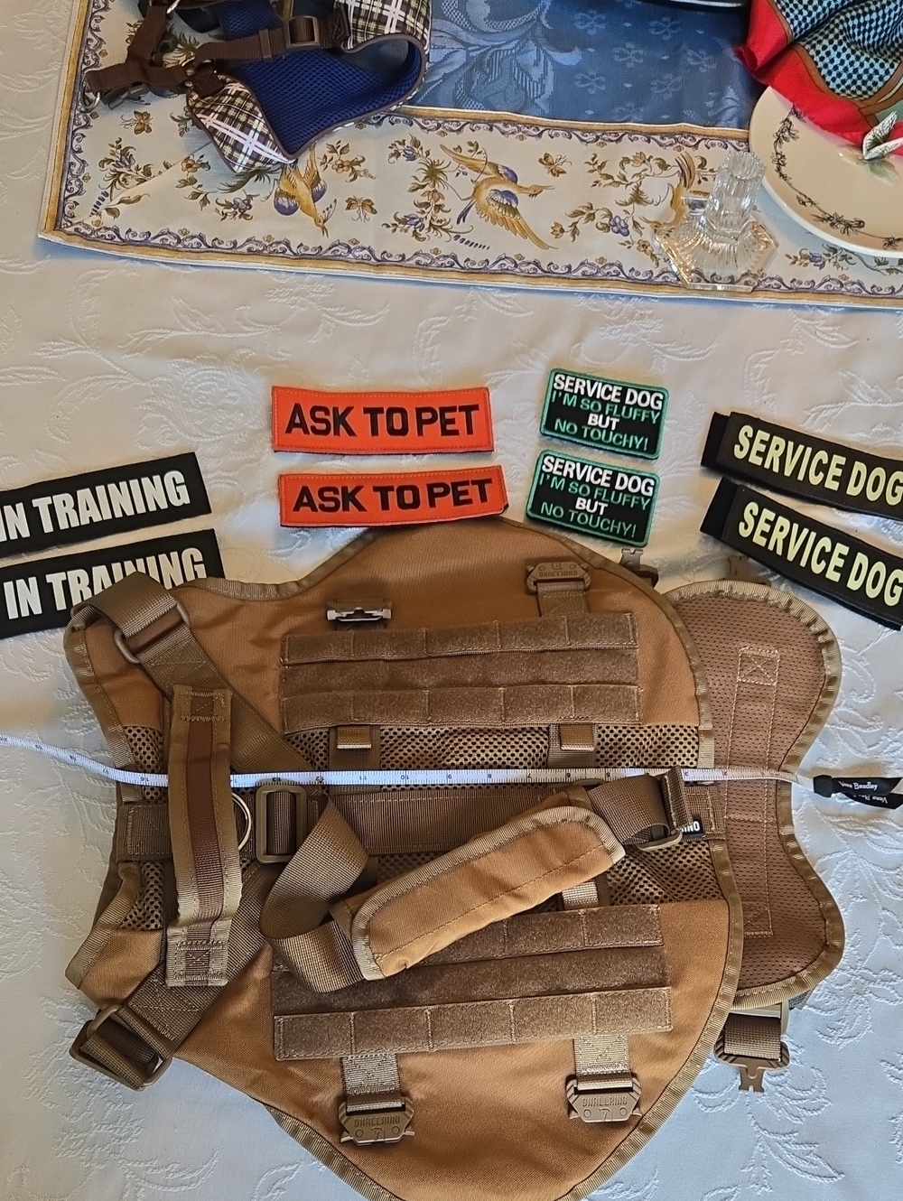 Dog Trainer Vest Dog Vest Fully Adjustable Size Large